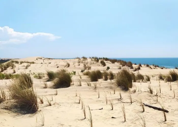 Villa A La Palmyre - 8 Pers, Plage 100M, Wifi, Animaux Admis - Fr-1-705-7 Сasa de vacaciones La Palmyre